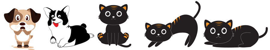 ernie-petclinic/アーニー動物病院